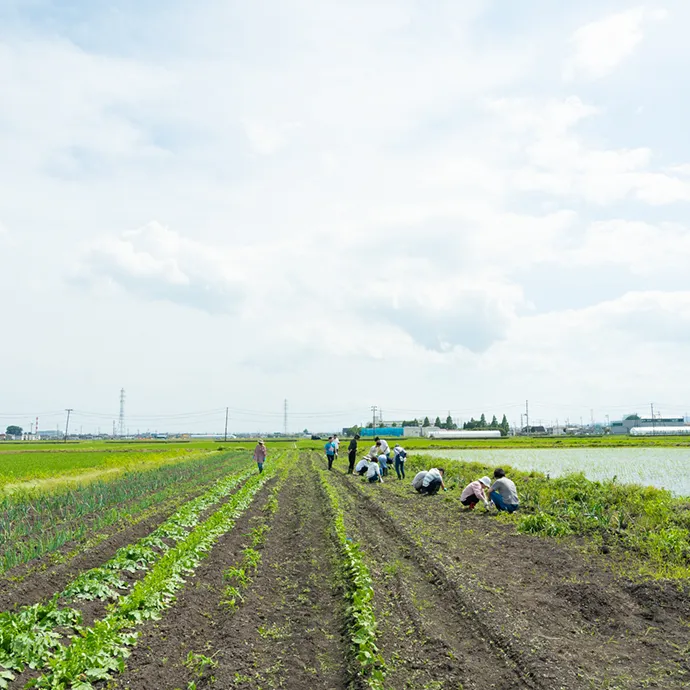 青空と白い雲が広がる開放的な大自然のなか、のびのびと広がる農地で農作業に励む人々の姿
